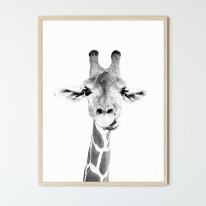 Giraffe FRAMED Wall Art, Black and White Fine Art Print