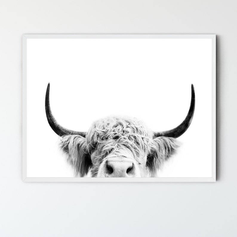 Black and White Highland Cow FRAMED Artwork Modern Farmhouse Etsy UK