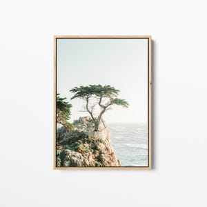 May include: A lone cypress tree grows on a rocky cliff overlooking a blue ocean. The sky is a soft blue and the water is calm. The tree is a symbol of resilience and strength.