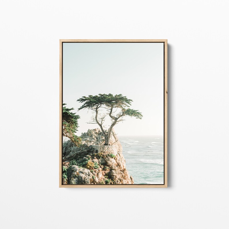 May include: A lone cypress tree grows on a rocky cliff overlooking a blue ocean. The sky is a soft blue and the water is calm. The tree is a symbol of resilience and strength.