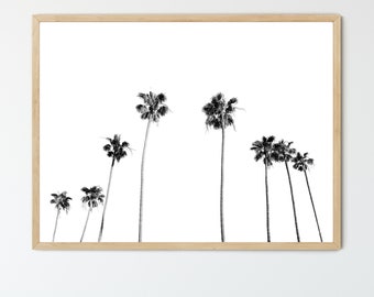 Palmera en blanco y negro enmarcada, vidrio ACRÍLICO, impresión de playa moderna, cartel de playa minimalista, decoración del dormitorio, arte de la pared sobre la cama