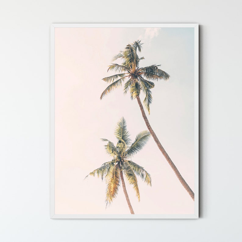 May include: Two tall palm trees with green fronds against a light pink and white sky. The trees are silhouetted against the sky, creating a tropical and serene scene.