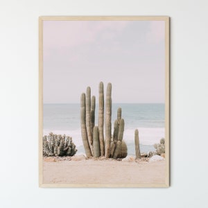 Cactus de playa ENMARCADO, VIDRIO ACRÍLICO, Impresión fotográfica, Póster enmarcado, Arte de pared de cactus del desierto, Cielo ruborizado, Arte de pared de cactus