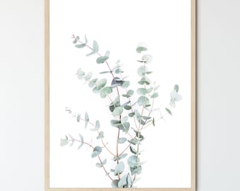 FRAMED Eucalyptus Branch Print, Minimalist Plant Decor, Modern Botanical, Delicate Botanical Art, Herb Print
