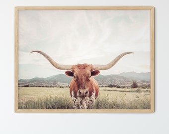FRAMED Texas Longhorn Cow Print , Unframed & Framed option available.