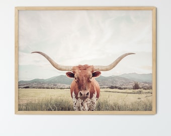 FRAMED Texas Longhorn Cow Print , Unframed & Framed option available.