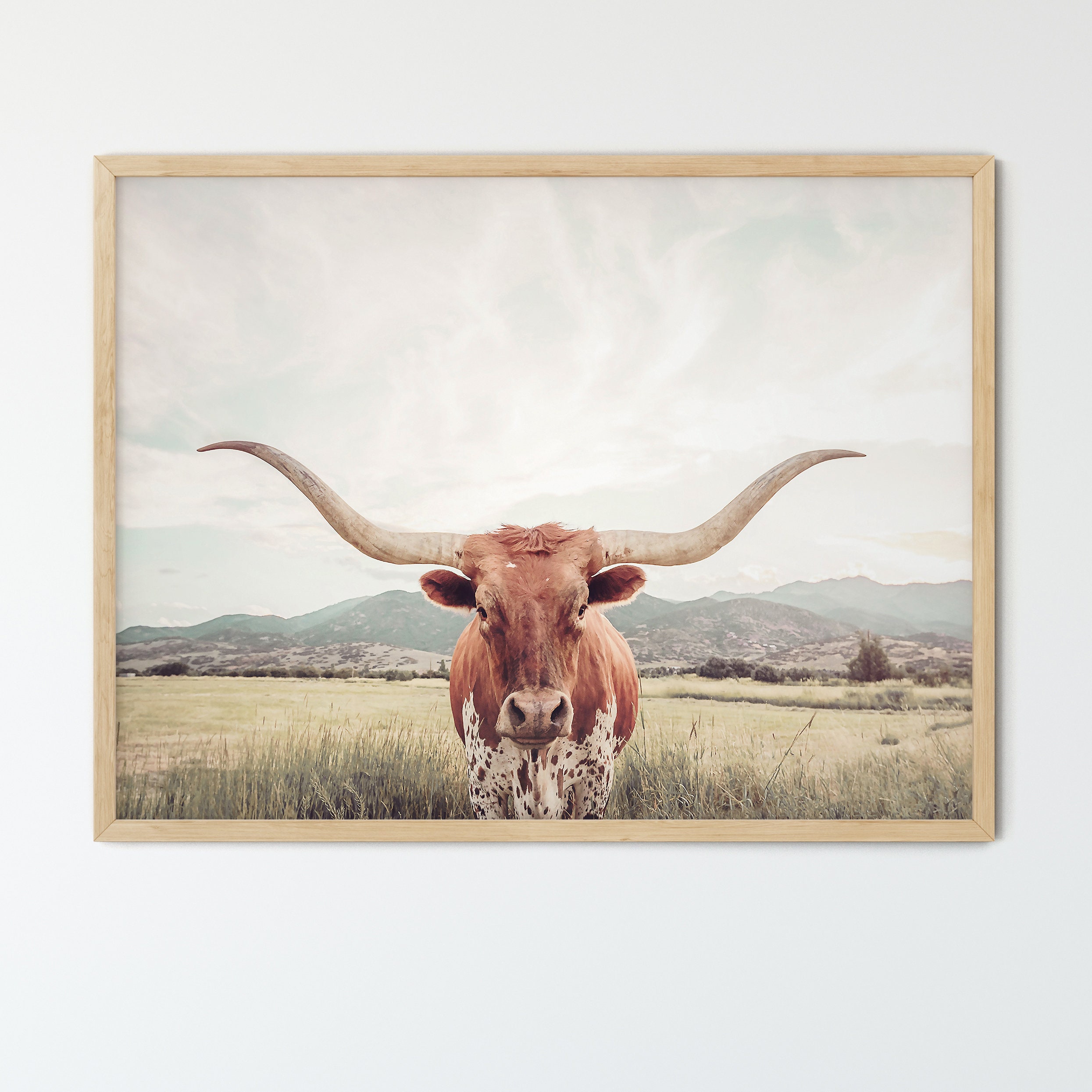 FRAMED Texas Longhorn Cow Print , Unframed & Framed option available.