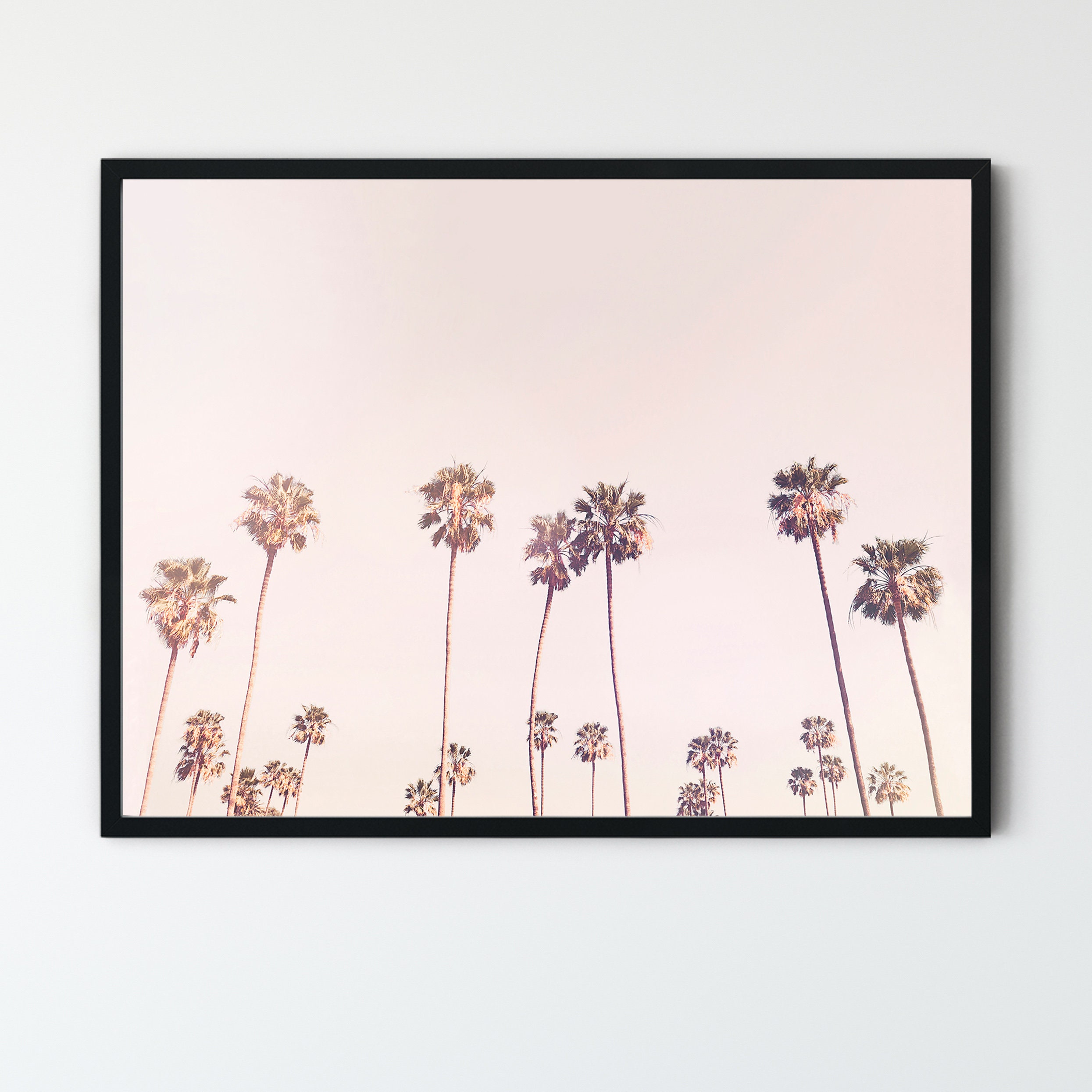 FRAMED Palm Trees Wall Art Blush Pink Decor Sunny Cali Palm Etsy