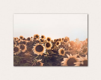 Sunflower Field Art Print, UNFRAMED POSTER