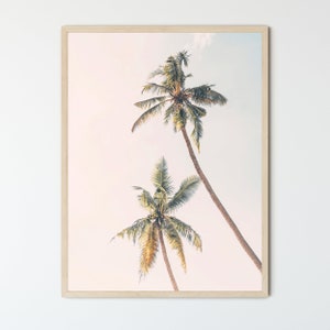 May include: Two tall palm trees with green fronds against a soft pink and white sky. The trees are silhouetted against the sky, creating a tropical and serene scene.