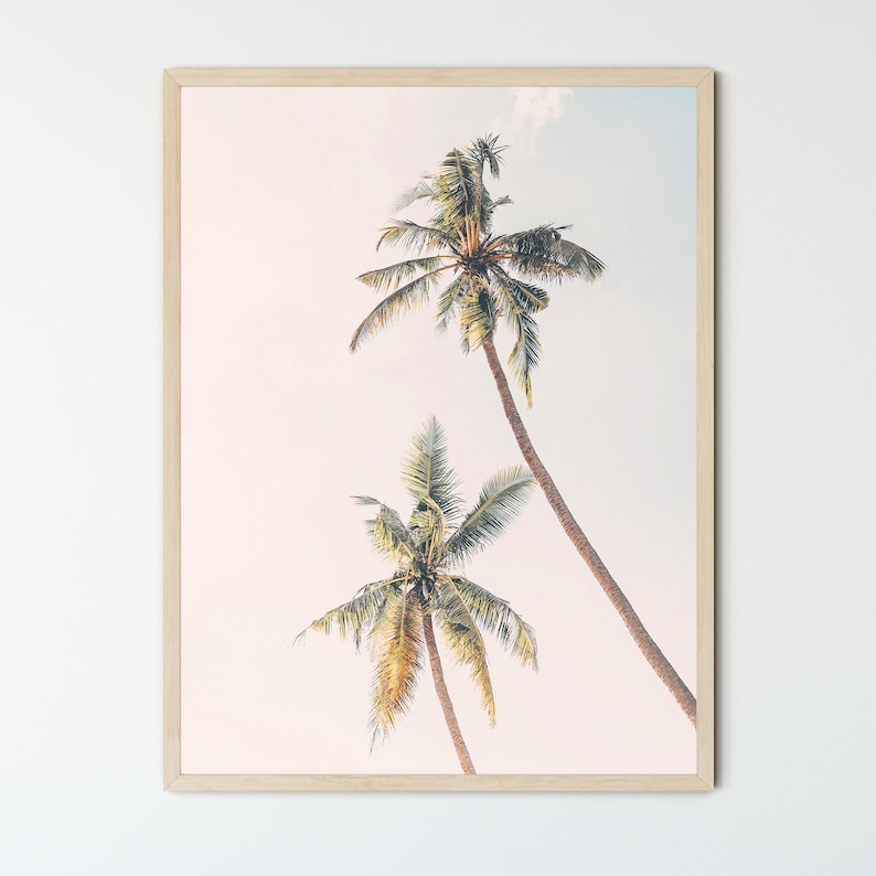 May include: Two tall palm trees with green fronds against a soft pink and white sky. The trees are silhouetted against the sky, creating a tropical and serene scene.