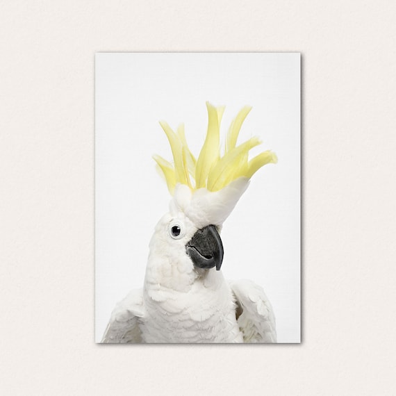 Cockatoo Print, Unframed Wall Art