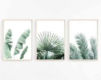 Set of three Tropical Leaf Prints, UNFRAMED Posters