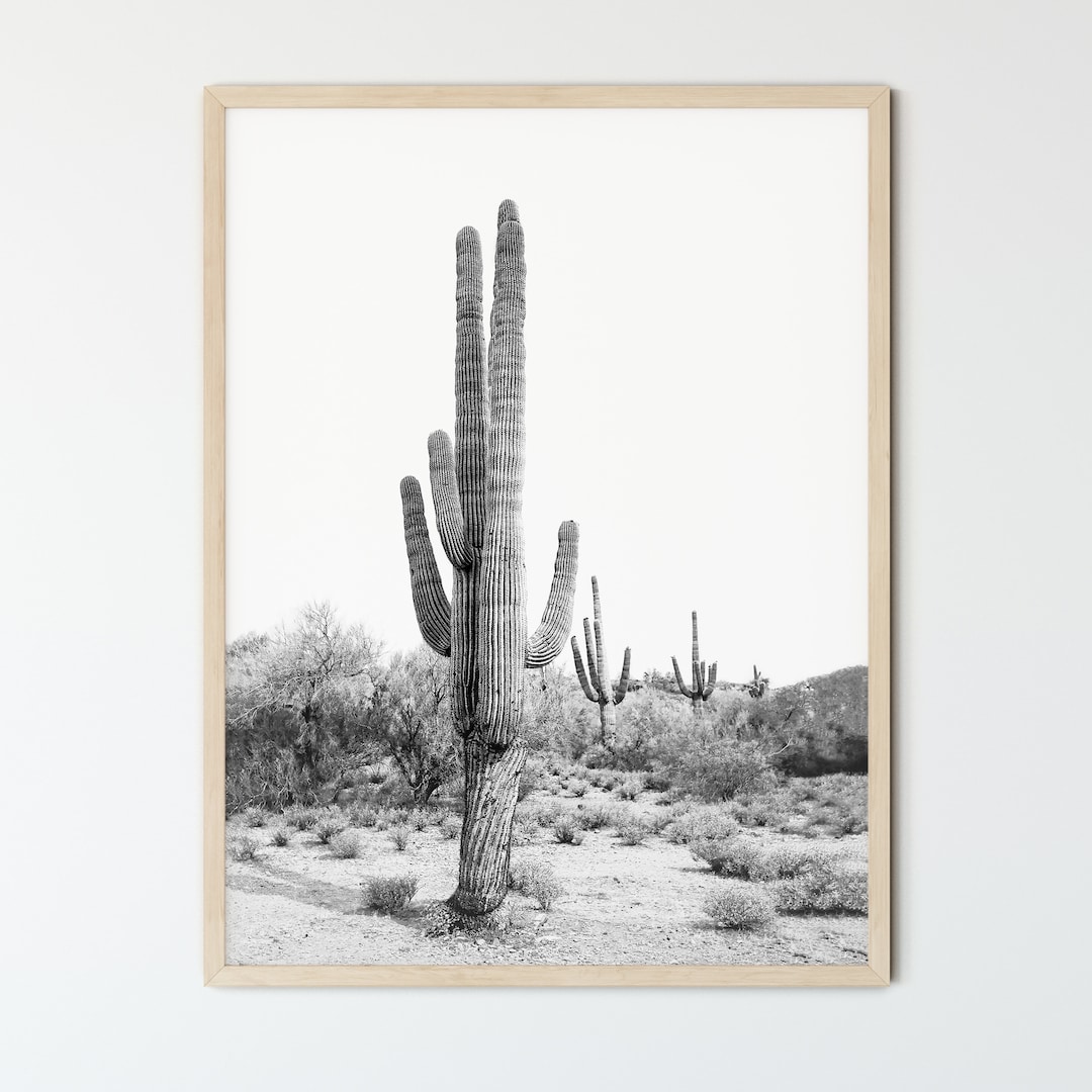 Black and White Desert Cactus Framed Print Boho Wall Art - Etsy
