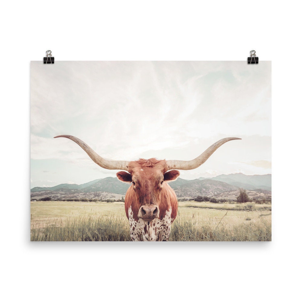 Longhorn Print, Longhorn Texas, Cow Print, Cow Poster, Horns Print, Posters, Wall Decor, Wall Art, Shabby Chic, Home Decor, Country Style