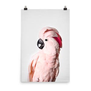 Cockatoo Print, Art To Frame, Large Print, Tropical Bird, Art For Girls Room, Pink Wall Art, Bird Photo, Parrot Poster, Pink Cockatoo Poster
