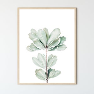 May include: A framed print of a single stem of a plant with light green leaves against a white background.