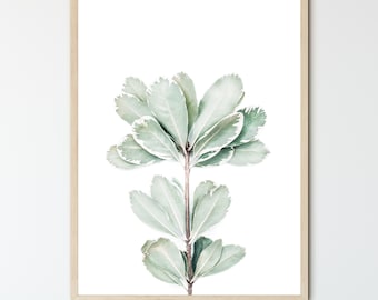 Foliage Framed Plant Print, Green Boho Botanical Decor, Nature Art, Floral Photography Print
