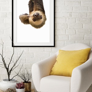 Sloth Giclee Art Print, Unframed Wall Art image 4