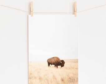 Bison ART PRINT, UNFRAMED art, Modern Boho Prints, Buffalo Wall Art, Animal Decor, Boho Minimalist