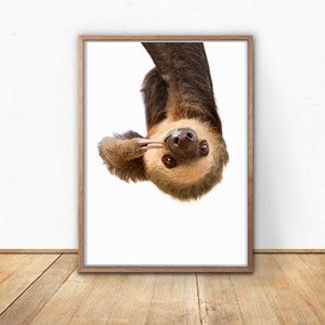 Sloth Giclee Art Print, Unframed Wall Art image 2