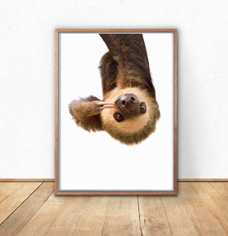 Sloth Giclee Art Print, Unframed Wall Art image 2