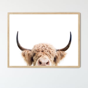 Peeking Highland Cow FRAMED Artwork, Modern Farmhouse Decor