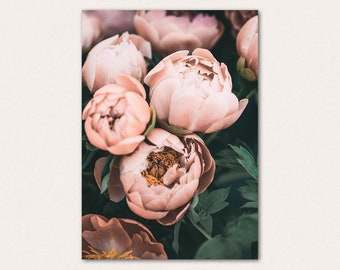 Blush Pink Peonies UNFRAMED Poster