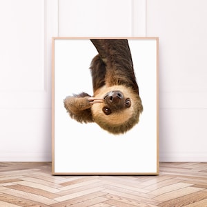 Sloth Giclee Art Print, Unframed Wall Art image 1