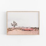 Desert Art