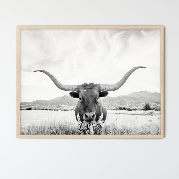 FRAMED Texas Longhorn Cow Black And White Poster