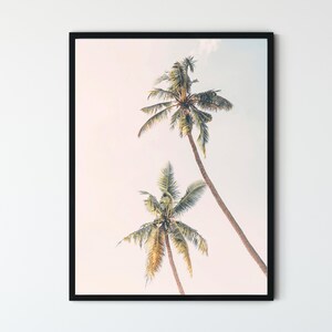 May include: Two tall palm trees with green fronds against a light pink and white sky. The trees are silhouetted against the sky, creating a tropical and serene scene.