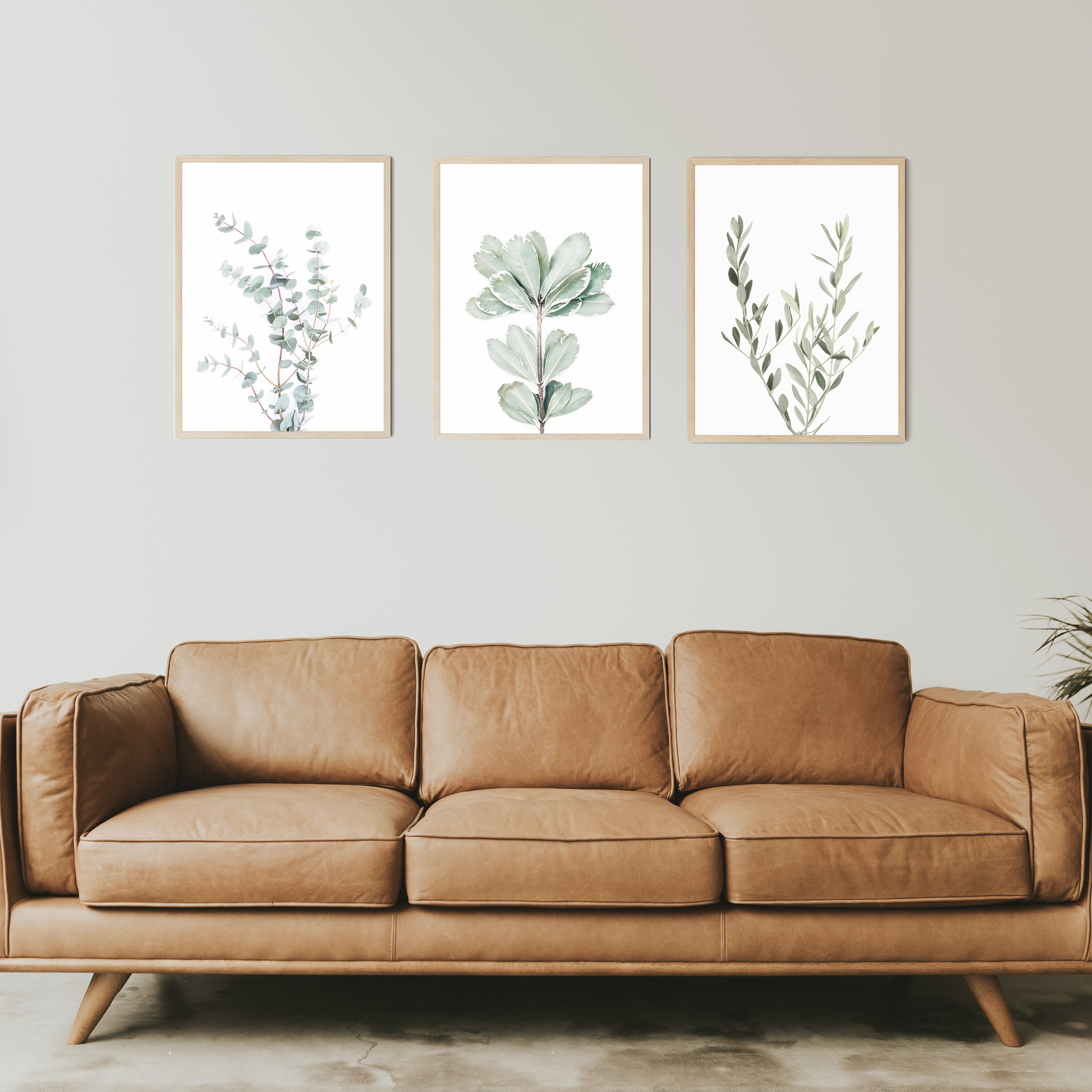 Geeignet Botanical Wall Art Modern Boho Rustic Houseplant Canvas Decor Wooden Framed Paintings Set,Gray And White Green Leaf Plant Pictures for Living Room Bathroom Outdoor 12x16 Inch 3 Panel