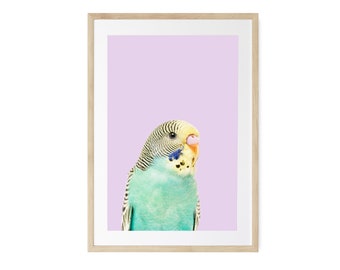 Bird Art, Girl Room Decor, Modern Kids Art, Pastel Wall Art, Framed Art, Unframed Art Prints, Gifts for Teens, Happy Wall Art, Playroom