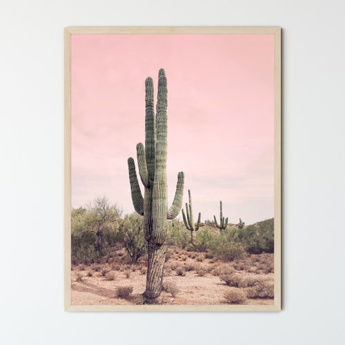 FRAMED Blush Pink Desert Cactus Print Wall Art Boho Home Etsy