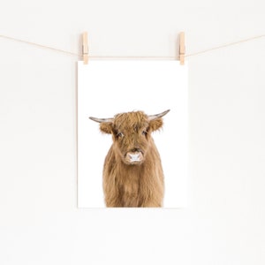 Baby Cow Print, UNFRAMED Art Print, Farm Decor Nursery Prints, Peekaboo Animals