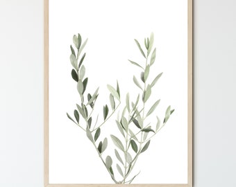 FRAMED Olive Branch Print, Mediterranean Decor, Kitchen Artwork, Minimalist Plant Decor, Modern Botanical
