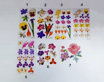 May include: Ten sheets of colorful orchid stickers. Each sheet features a different design of orchids in various colors, including pink, purple, yellow, and white. The stickers are perfect for adding a touch of elegance to crafts, journals, and more.