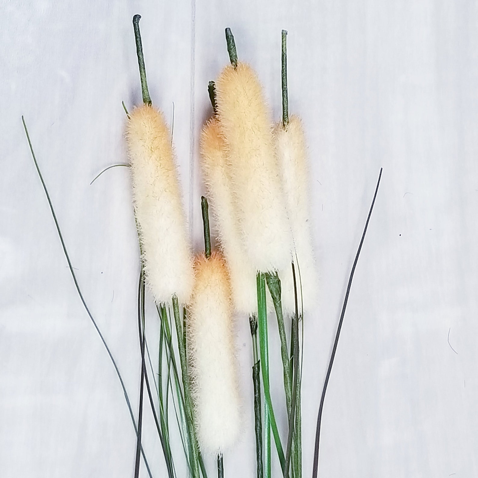Artificial Cattails With Long Grass Spraycattail Floral Stemfall