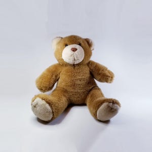 May include: A brown teddy bear with a white muzzle and brown eyes. The bear is sitting with its legs crossed.
