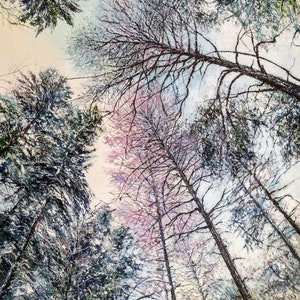 Canvas Print &quot;Spring is coming&quot;