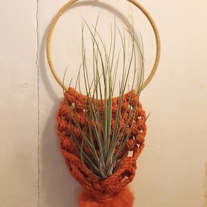 Burnt Orange Air Plant Home, Plant Hanger, Earthy Decor, Bohemian Wall Hanging