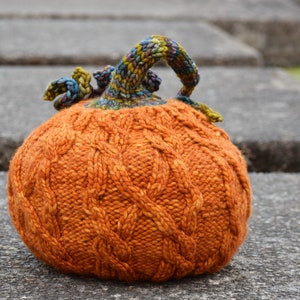 Autumn Spice Pumpkin PDF Knitting Pattern