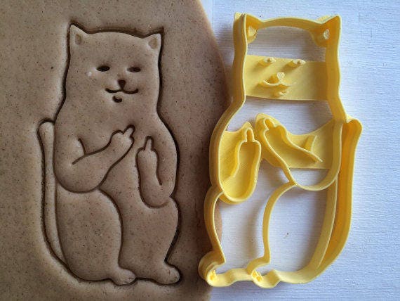 cookie cat teddy