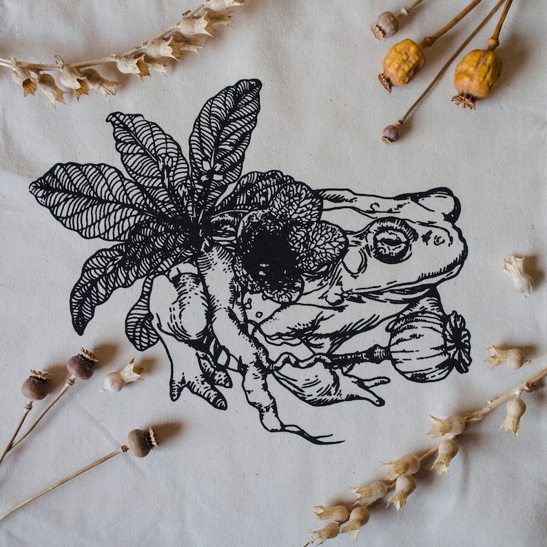 Op de afbeelding: Zwart-witte illustratie van een kikker met een groot blad erachter. De kikker zit op een bloem en heeft een papaverzaaddoos in zijn bek.