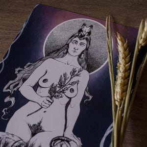 Prints de ilustraciones variadas firmadas. Prints signed by artist.