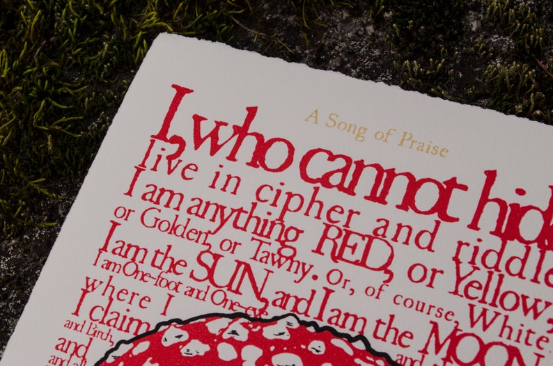 May include: A white card with red text that reads "A Song of Praise I who cannot hide live in cipher and riddle I am anything RED, or Yellow, or Golden, or Tawny. Or, of course, White I am the SUN, and I am the MOON I am One-foot and One-eye where I I claim". A red and white mushroom is at the bottom of the card.