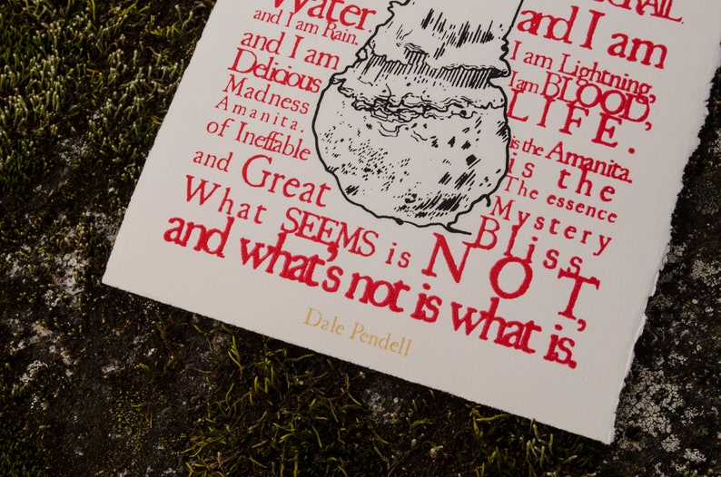 May include: A white card with red text and a black and white illustration of a mushroom. The text reads "I am water and I am rain. And I am delicious madness Amanita. Of ineffable and great what seems is not and what's not is what is." The text is signed "Dale Pendell".