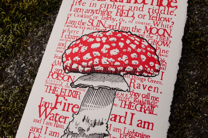 May include: A red and white mushroom with white spots is printed on a white background with black text. The text reads "I am anything RED, or Yellow, or Golden, or Tawny. Or, of course, White. I am the SUN, and I am the MOON. I am One-foot and One-eye, and the TREE GROW. Where I claim and I am all things Green. They call me the Raven. I am Fire and I am Water. I am Lightning and I am the ELIXIR. I am Poison, clearly a Scapegoat, the Great Secret, the Hidden Wisdom, and THE GRAIL."