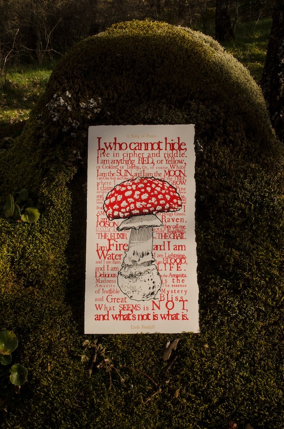 Serigrafía artesanal a tres tintas sobre la Amanita muscaria. Edición limitada. Fly Agaric Handmade screen print. Limited edition of 40.